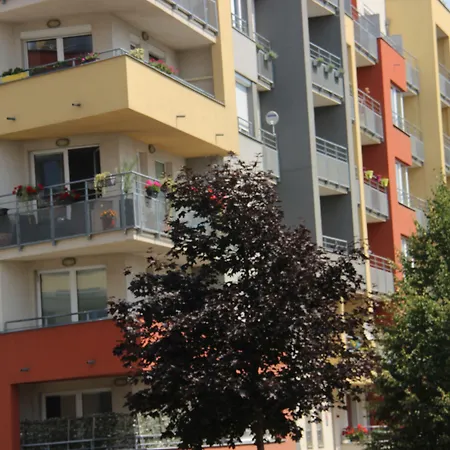 Luxury In The Heart Of
